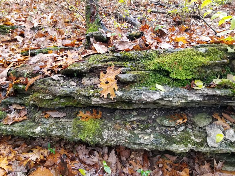 There's More Along This Trail Than an Old Cemetery