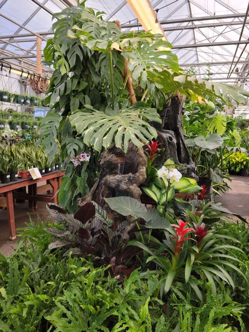 There's a Whole World of Plants Waiting to Be Discovered There's a Whole World of Plants Waiting to Be Discovered