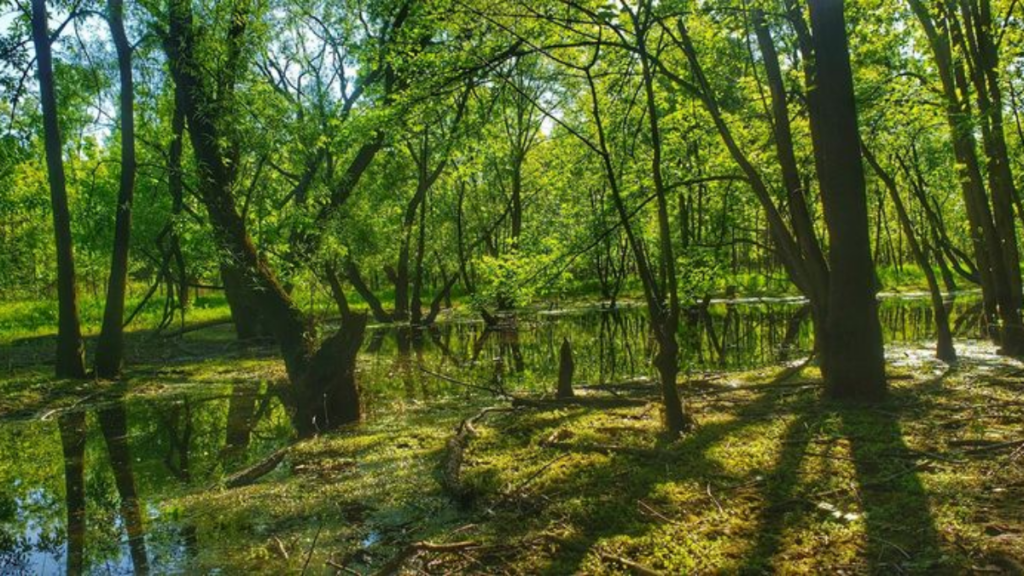 This Scenic Tennessee Greenway Feels Like a Hidden Escape in the Middle of Nashville