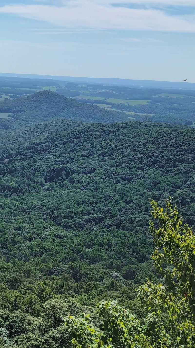 Thoughtful Planning Keeps the Overlook Enjoyable