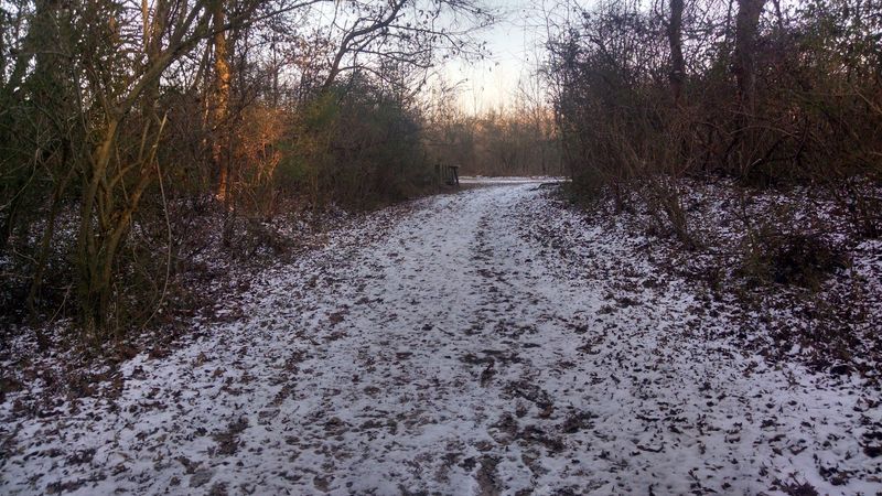Thousands of Years of Stories Hide Under Your Sneakers
