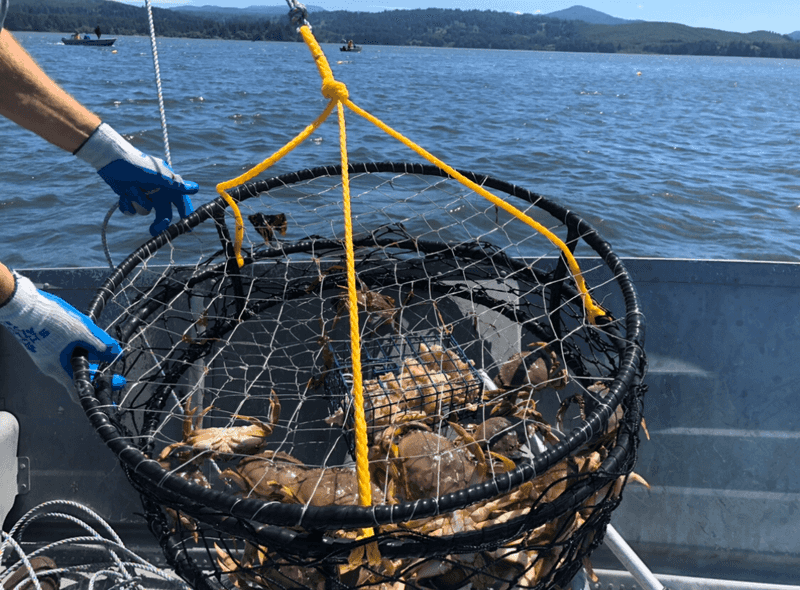Three Hours, One Boat, a Bay Full of Crab Three Hours, One Boat, a Bay Full of Crab
