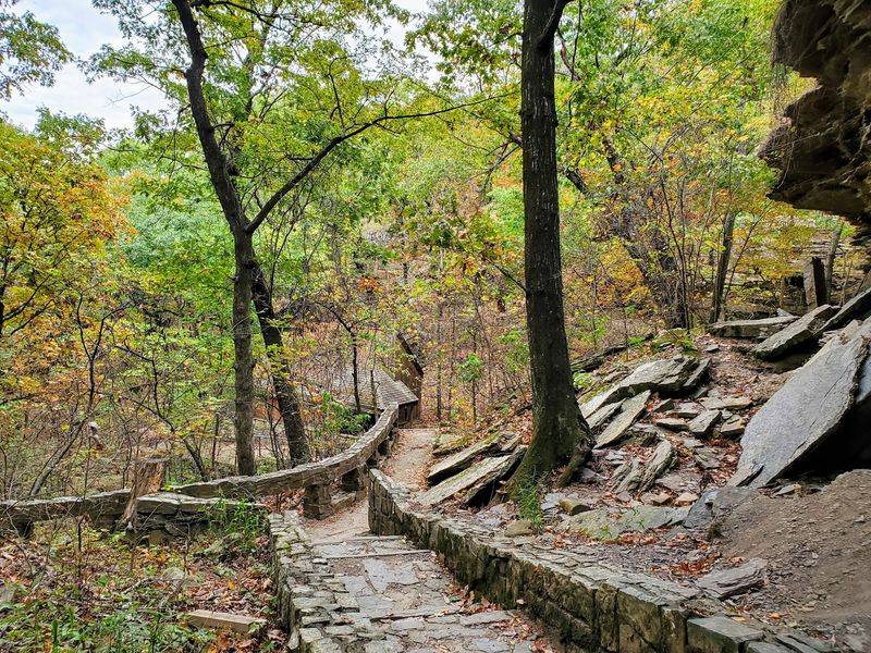 Three Trails Through the Woods