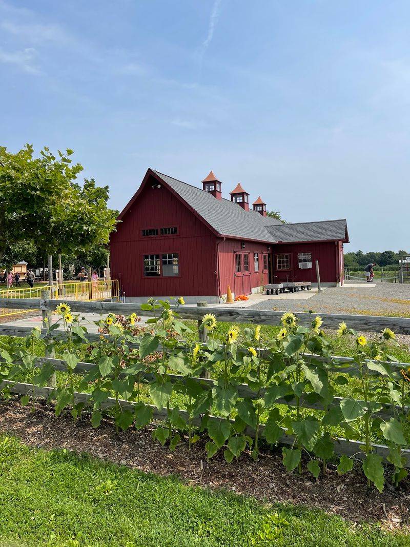 Tougas Family Farm - Northborough Tougas Family Farm - Northborough