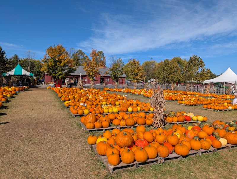 Tougas Family Farm: Plan the Northborough Snack Break