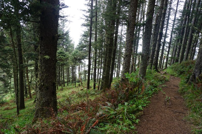 Trail Choices and Real Mileage