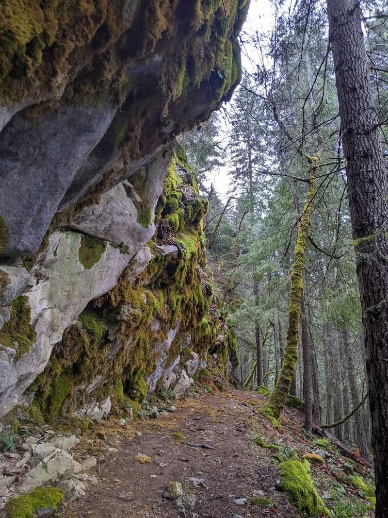 Trails Above the Cavern