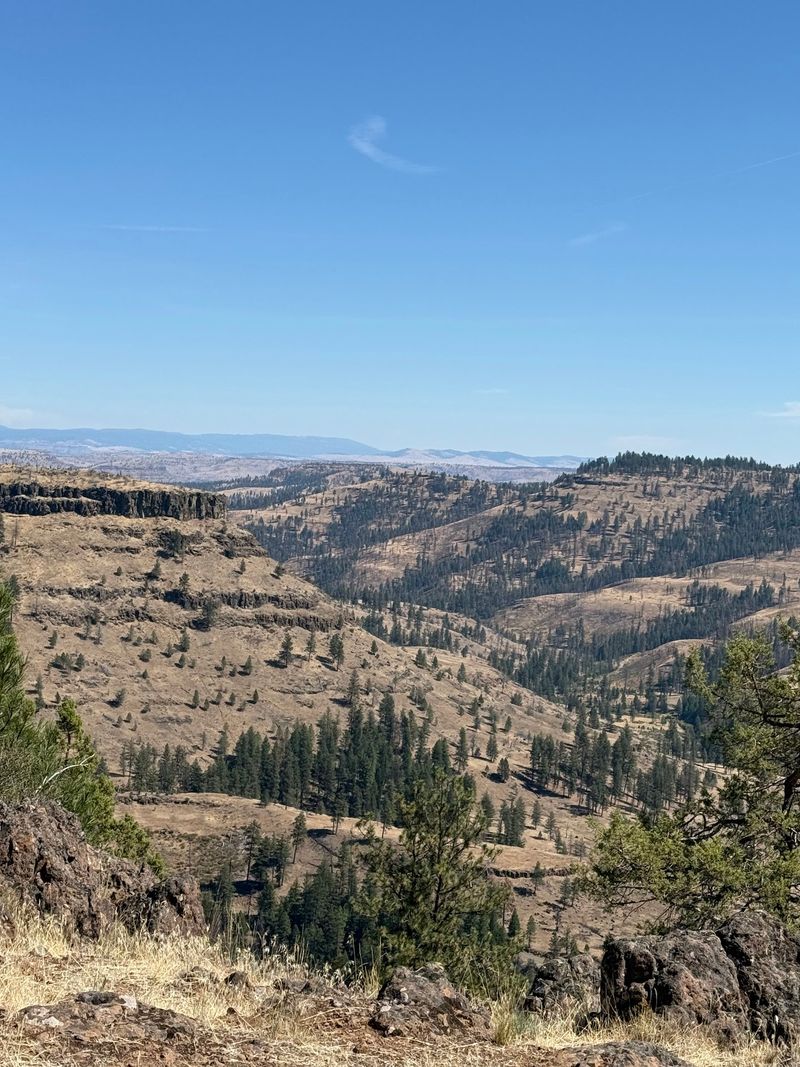 Trails From Easy Gravel to Technical