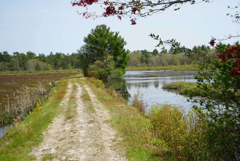 Trails That Let The Woods Do The Talking