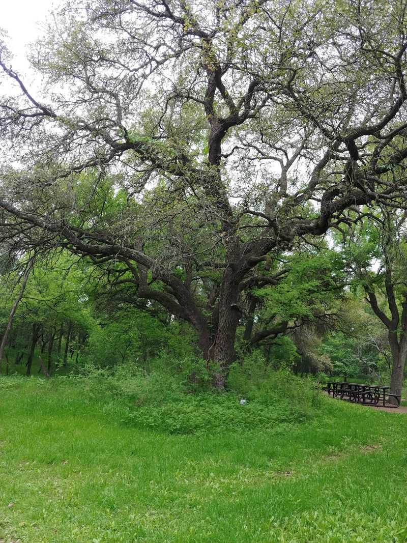 Trails, Wildlife, and Picnic Spots Trails, Wildlife, and Picnic Spots
