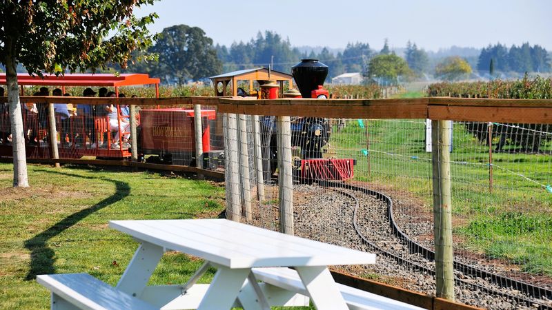 Train Rides and a Harvester Slide