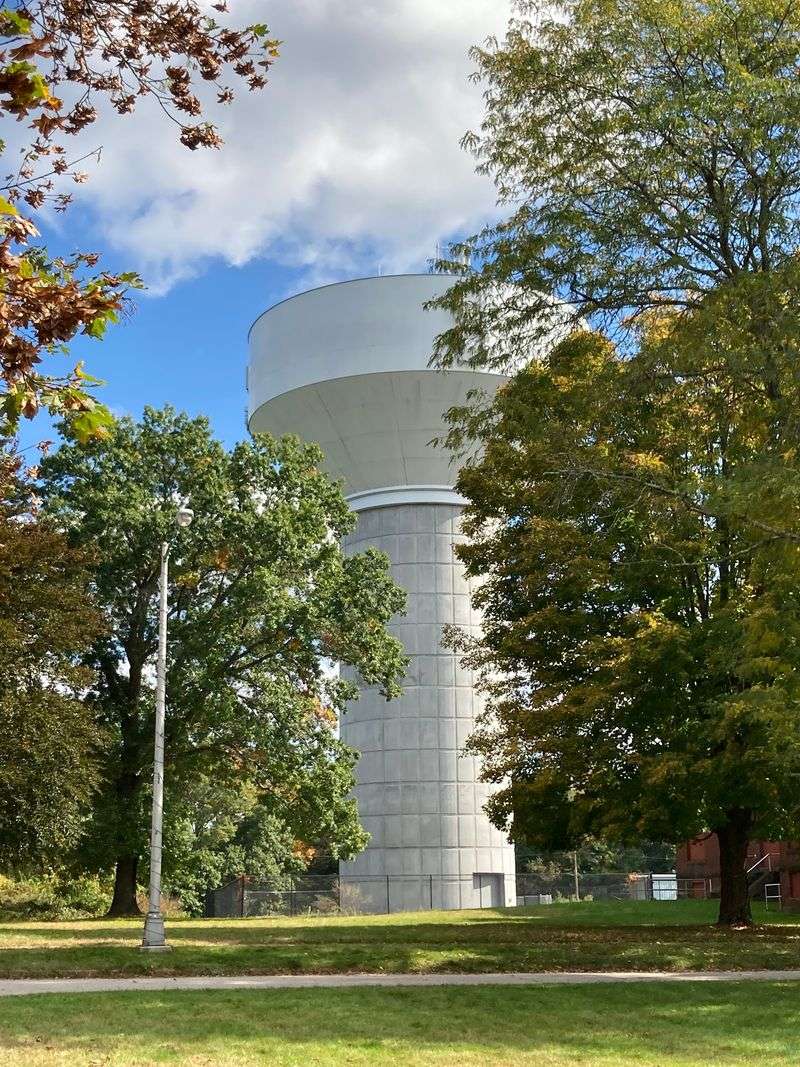 Tree-Lined Walks and Fall Color