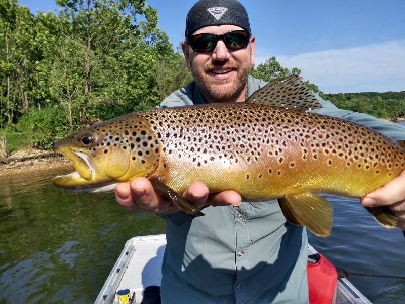 Trout Country Headquarters
