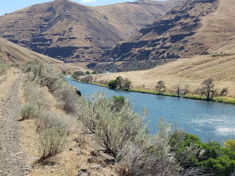 Trout, Steelhead and Quiet Casting Trout, Steelhead and Quiet Casting