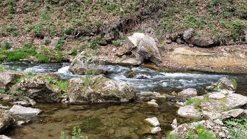 Trout Water and Birding Kits