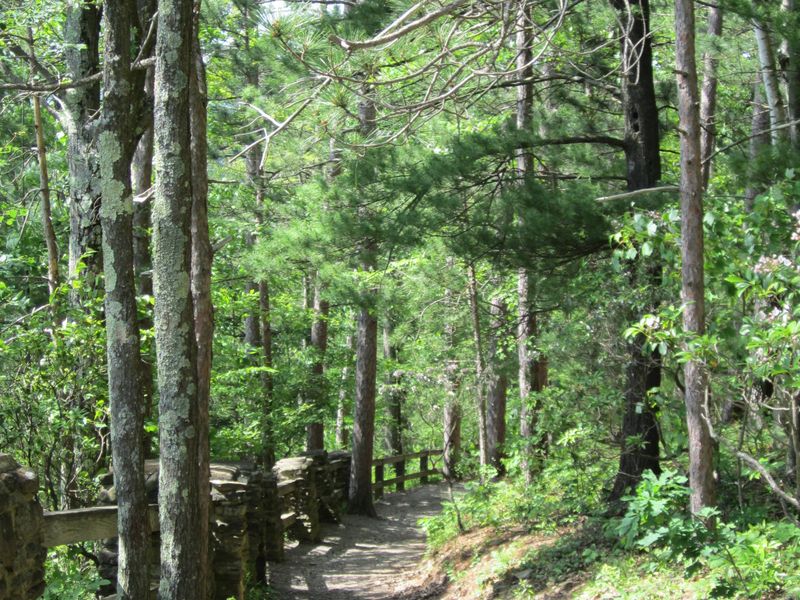 Turkey Path Trail at Leonard Harrison State Park, Wellsboro