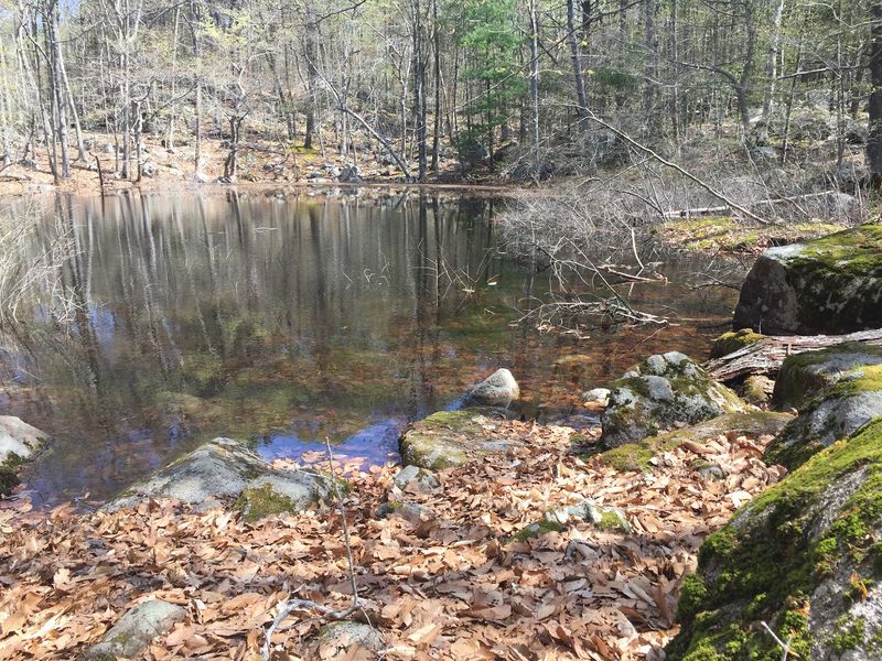 Turn Your Hike Into A Full Cape Ann Day Turn Your Hike Into A Full Cape Ann Day