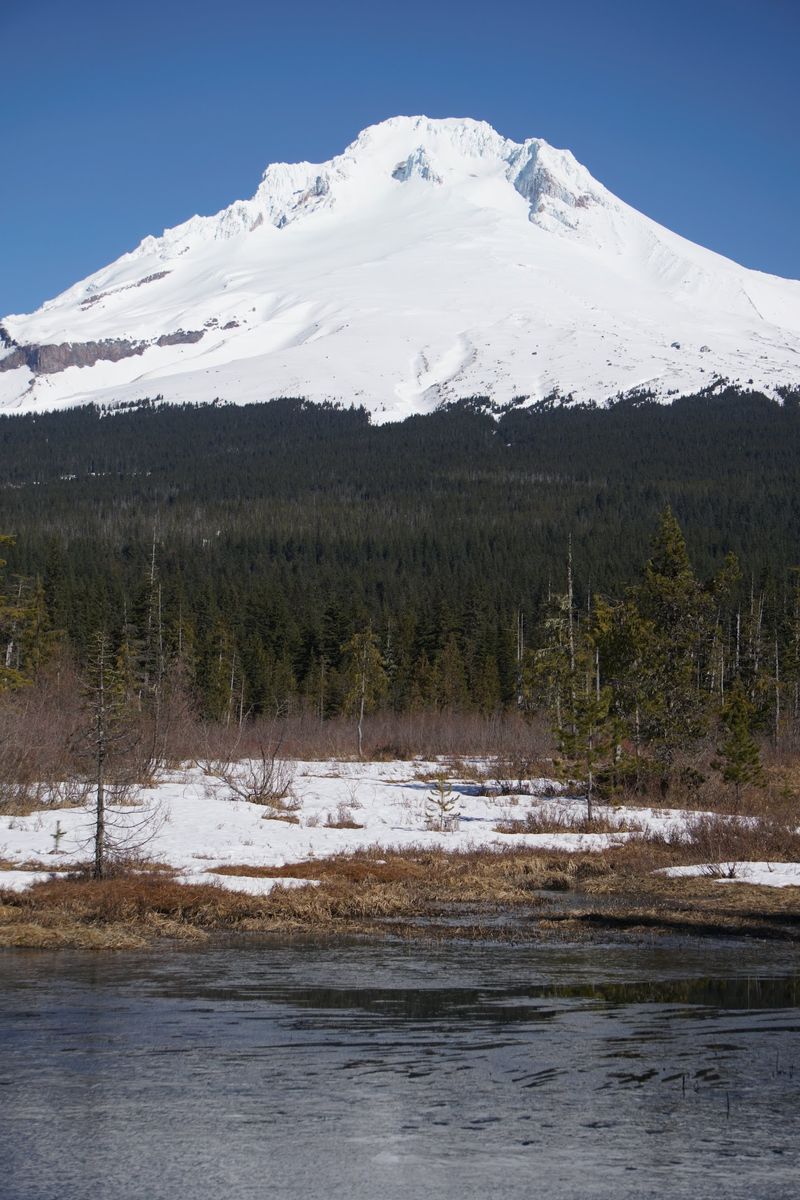 Two Peaks for Company