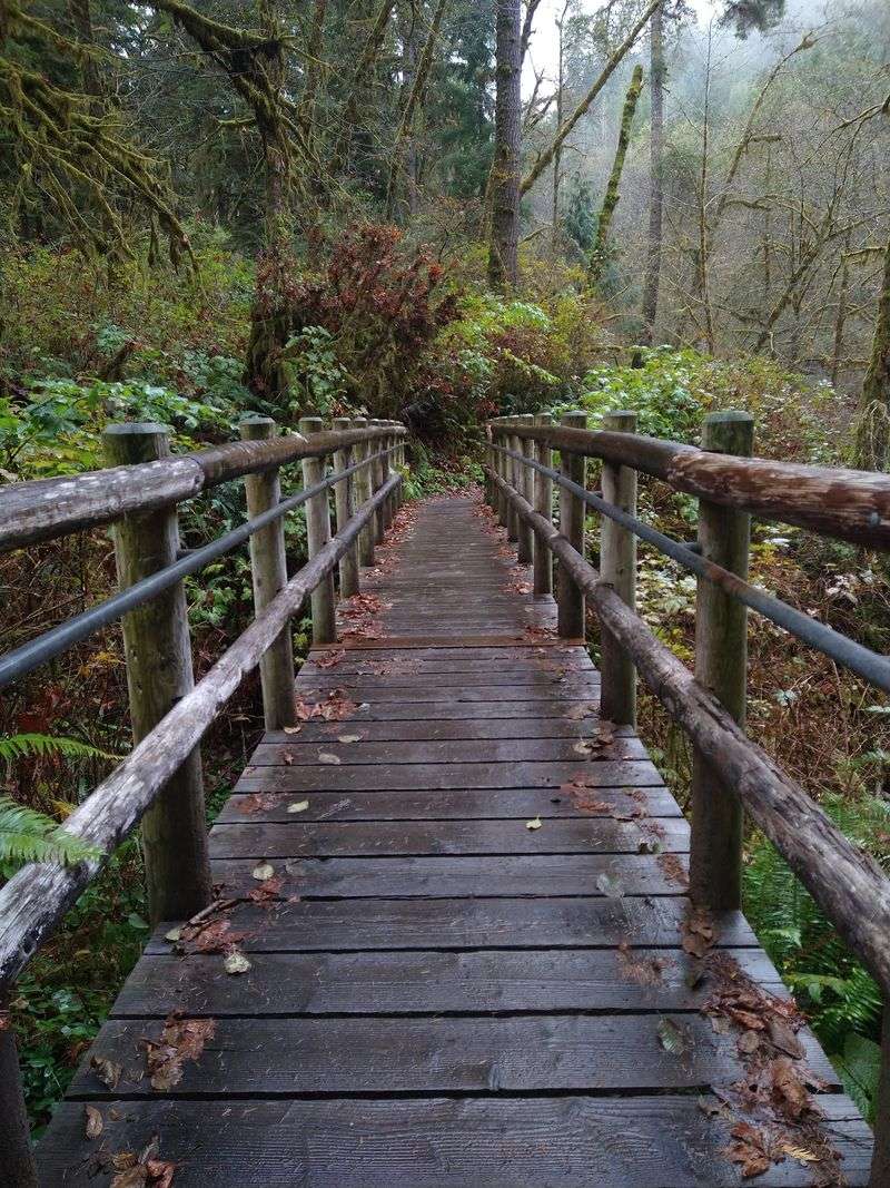 Two Trailheads, One Important Detour