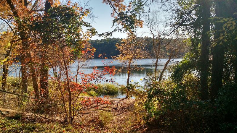 Tyler State Park (Tyler) Tyler State Park (Tyler)