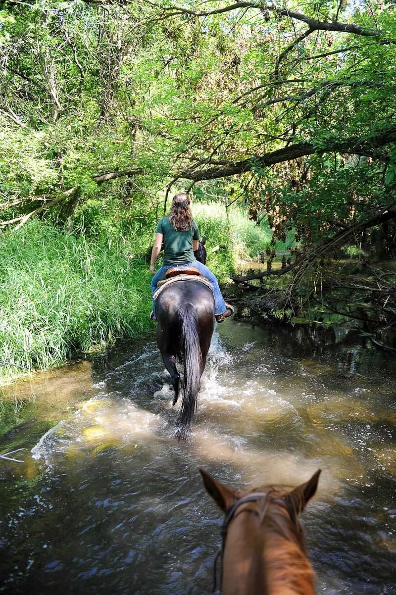 Millbrook Trail Rides 