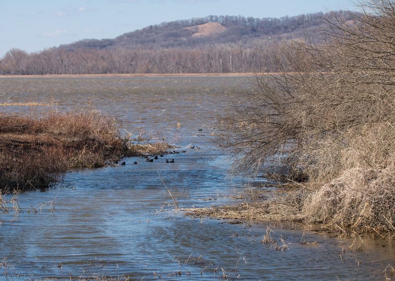 Two Rivers National Wildlife Refuge (Brussels) Two Rivers National Wildlife Refuge (Brussels)