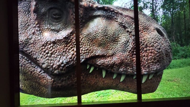 Dinosaurs and Toys Under One Illinois Roof Dinosaurs and Toys Under One Illinois Roof