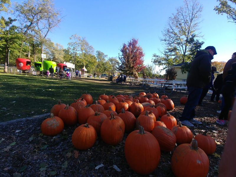 October Brings Thousands of Pumpkins and Plenty of Giggles October Brings Thousands of Pumpkins and Plenty of Giggles
