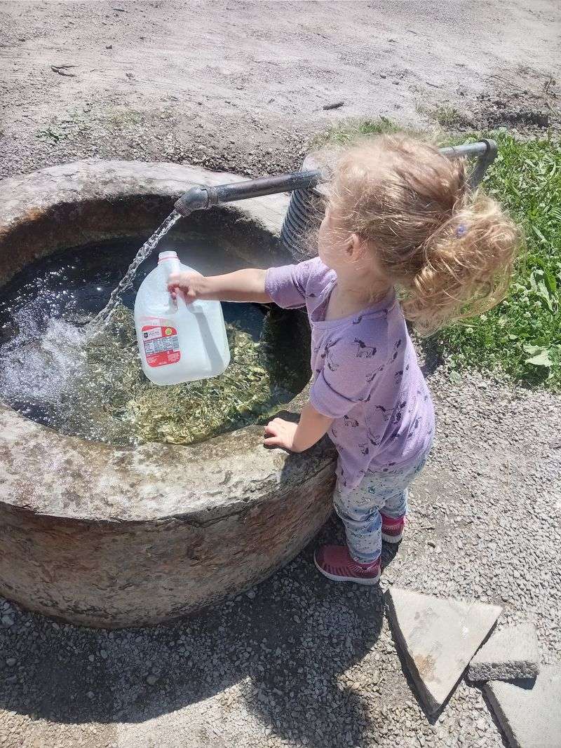 Bring the Right Jugs and Fill Like a Pro Bring the Right Jugs and Fill Like a Pro
