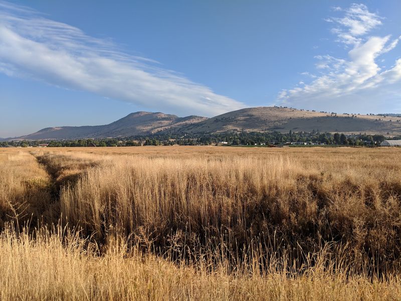 Views From the High Country