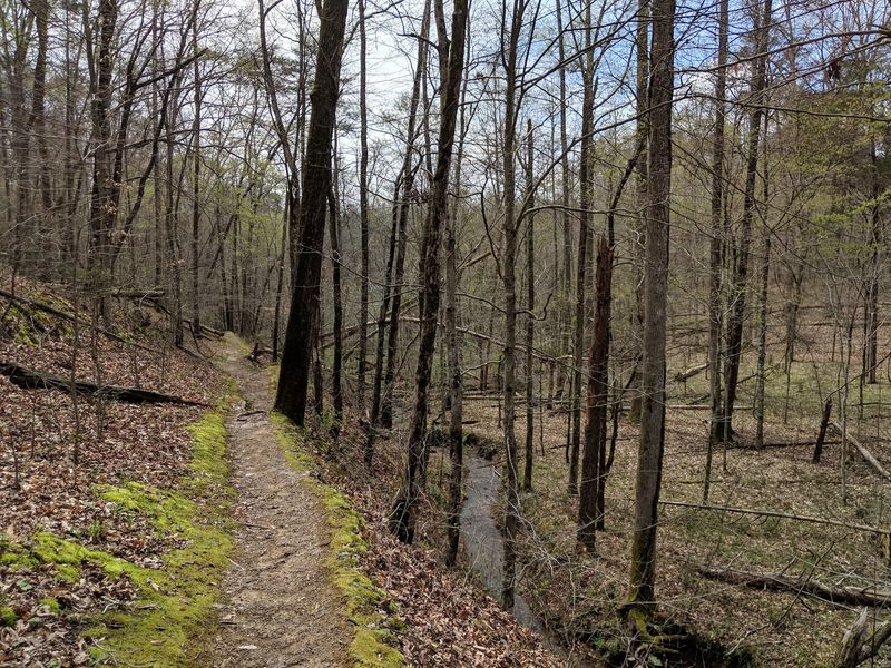 Visitors Have Reported Strange Sounds, Shadows, and Unexplained Encounters Visitors Have Reported Strange Sounds, Shadows, and Unexplained Encounters