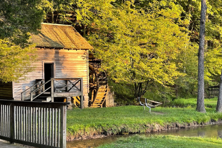 Visitors Say This Tennessee State Park Gets Seriously Creepy After Dark