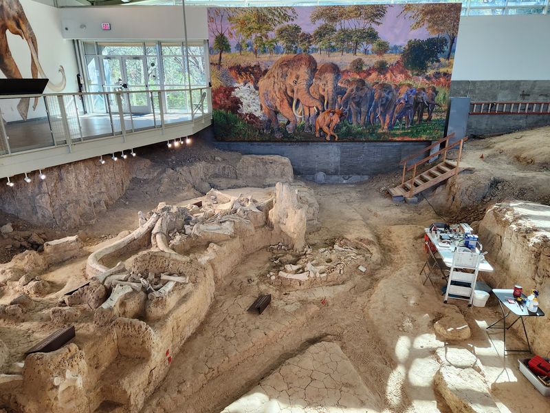 Waco Mammoth National Monument