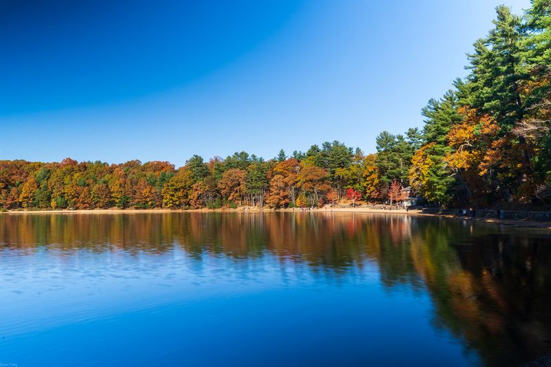 Walden Pond State Reservation Walden Pond State Reservation