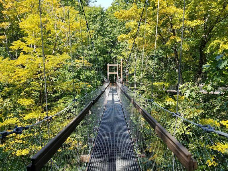 Walk Among the Leaves on the Murch Canopy Walk Walk Among the Leaves on the Murch Canopy Walk