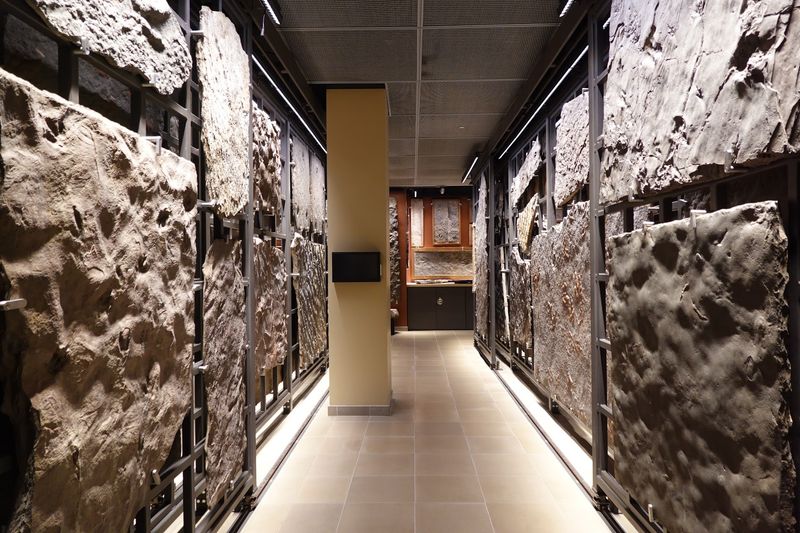 Walls Covered in Dinosaur Tracks