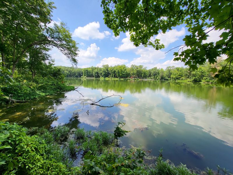 Walnut Point State Park, Oakland, IL