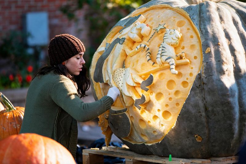 Watch a Pumpkin Change Before Your Eyes