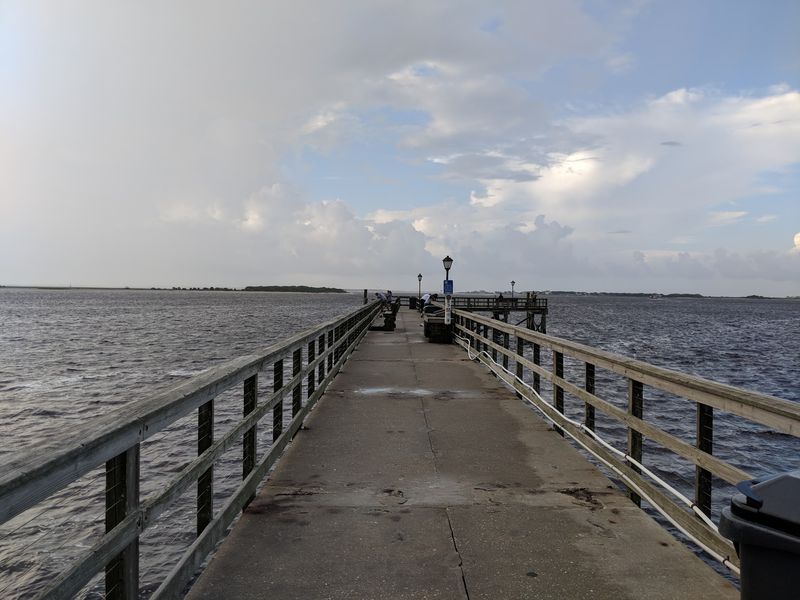 Waterfront Wandering
