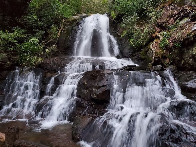 What Made Laurel Falls One of the Smokies' Most Beloved Hikes What Made Laurel Falls One of the Smokies' Most Beloved Hikes