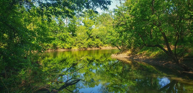 What Makes Stones River Greenway So Scenic