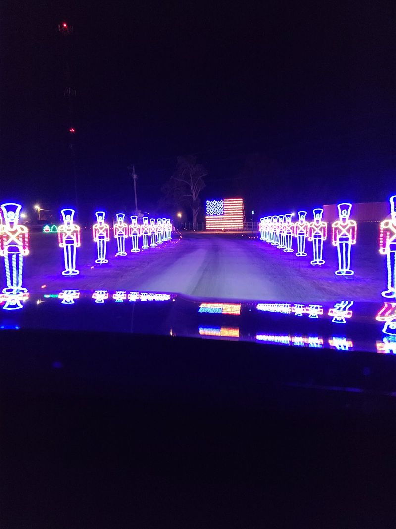 What To Know Before Visiting The Dancing Lights Of Christmas