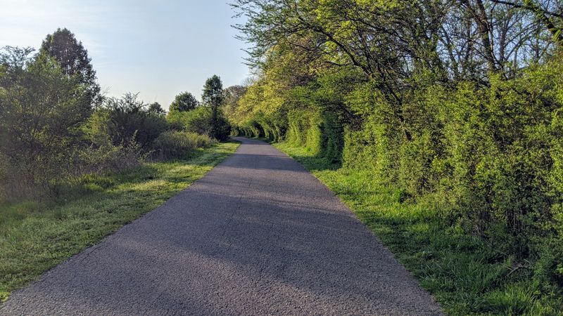 What to Know Before Walking or Biking the Greenway