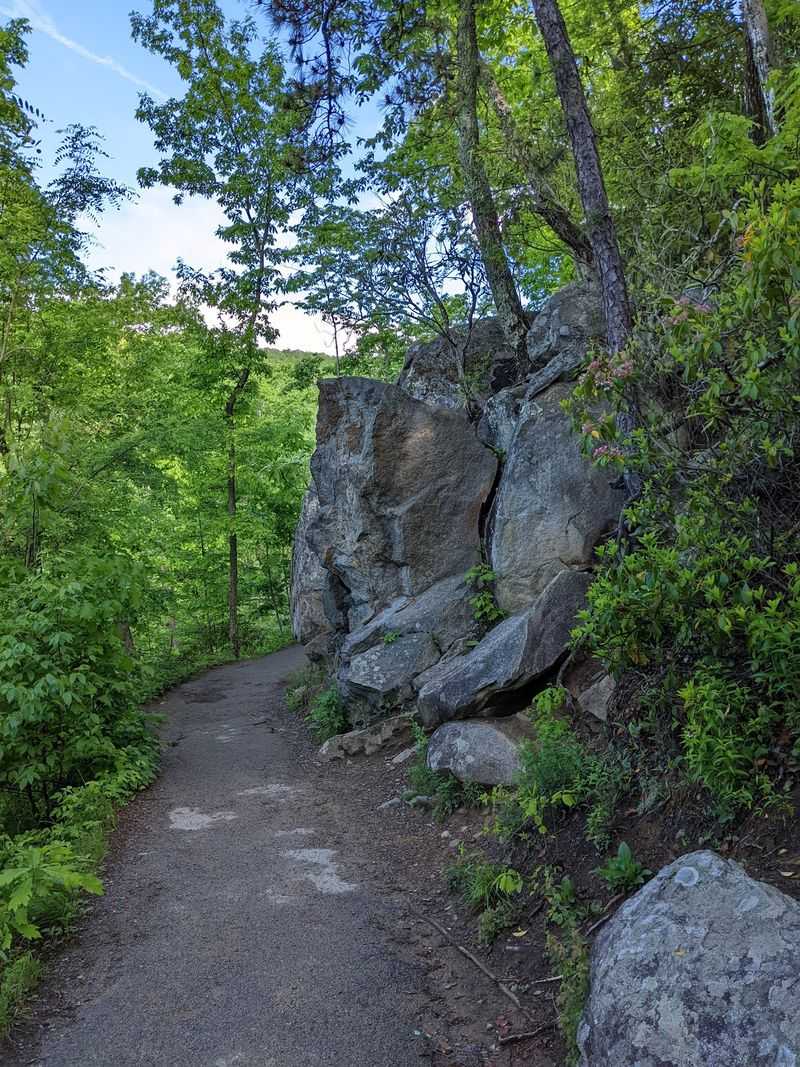 What's Being Changed Along the Laurel Falls Trail What's Being Changed Along the Laurel Falls Trail