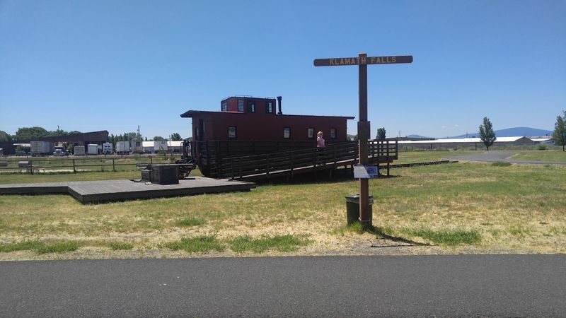 When Log Trains Ruled the Streets