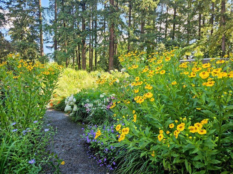 Where Pollinators Get the Spotlight Where Pollinators Get the Spotlight