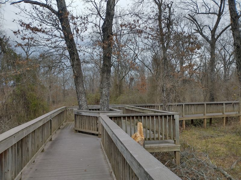 Where the Boardwalk Hides Where the Boardwalk Hides