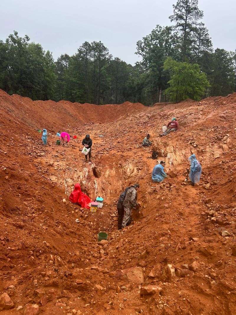 Where the Digging Happens Where the Digging Happens