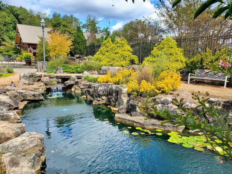 Where the Glow Begins in Northwest Arkansas