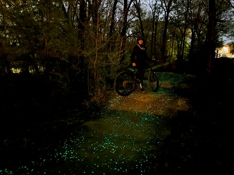 Where the Glow Trail Begins